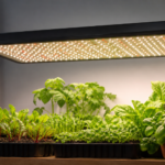 Full Spectrum Led Grow Lights